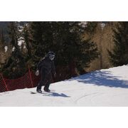 RUROC RG2 DARTH VADER 2025